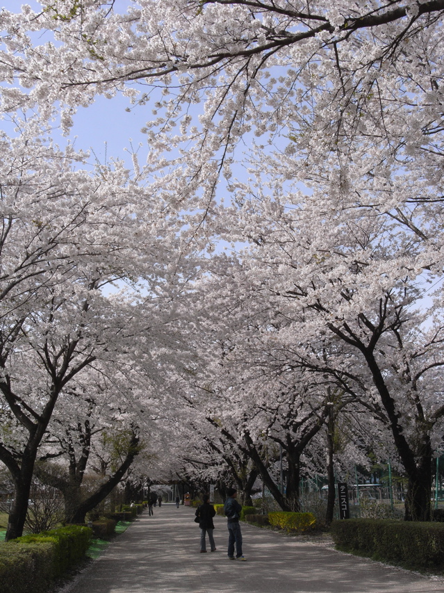 a0117915_17163831.jpg