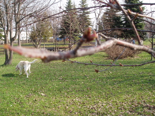f0192117_1925331.jpg