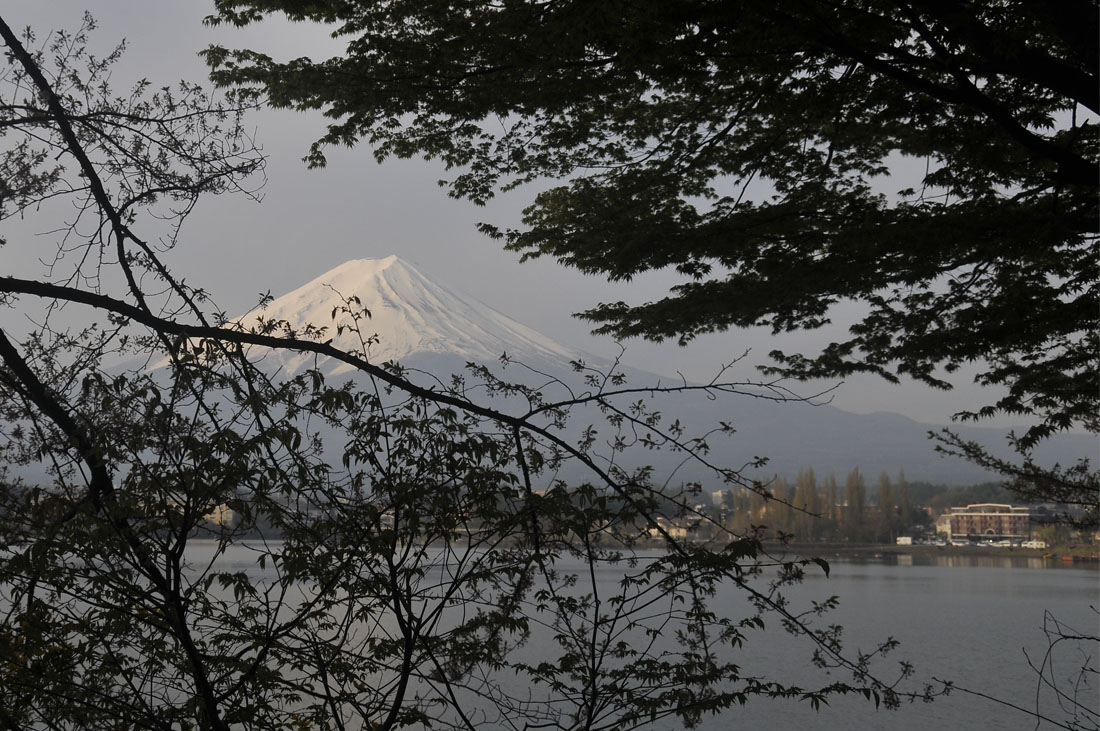 f0206417_1958215.jpg