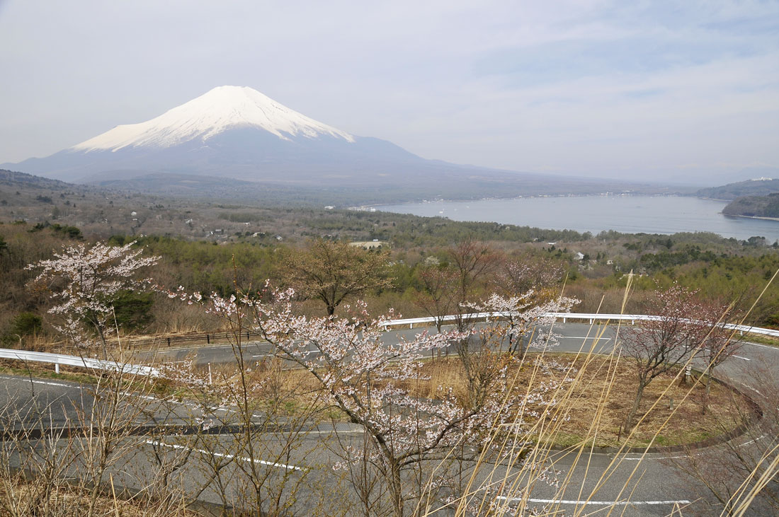 f0206417_19591666.jpg
