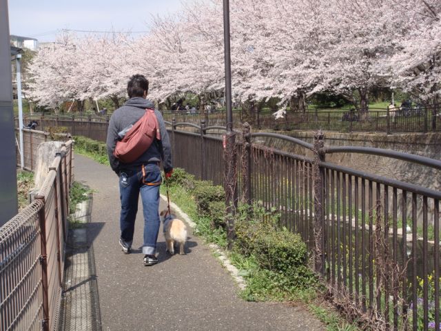 c0150520_119370.jpg