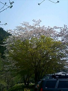 e0091220_2029274.jpg