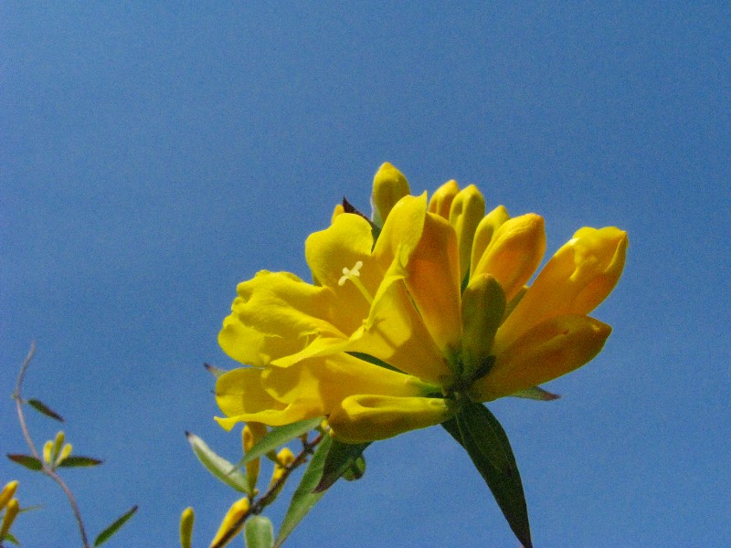 a0004023_004151.jpg