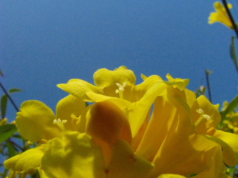 a0004023_013939.jpg