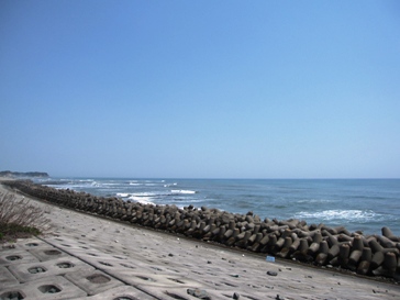 a0010225_223207.jpg
