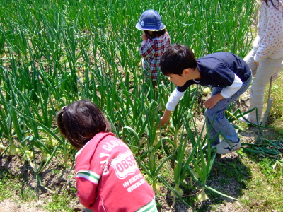 a0157325_0561060.jpg