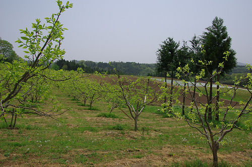 f0007926_15245999.jpg