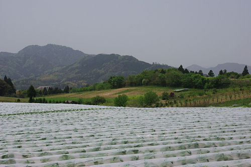 f0007926_15252644.jpg