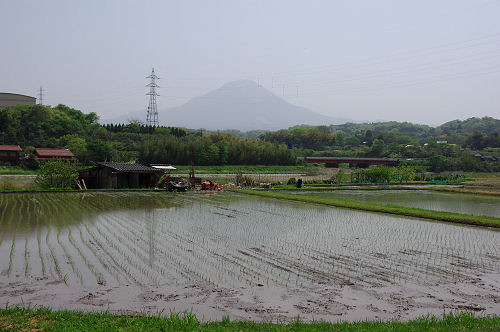 f0007926_1581514.jpg
