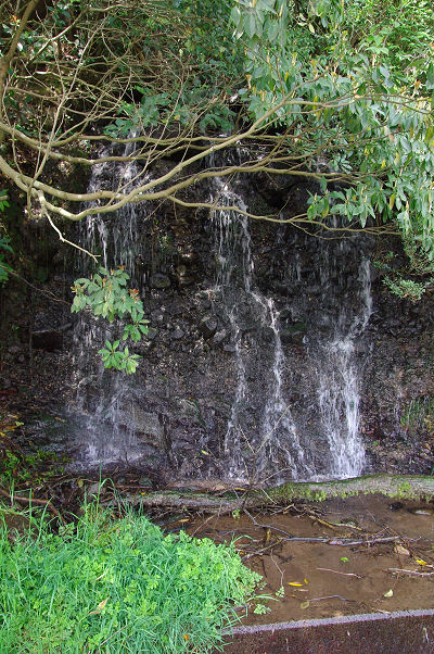 f0007926_1591315.jpg