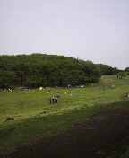 f0190328_21153770.jpg