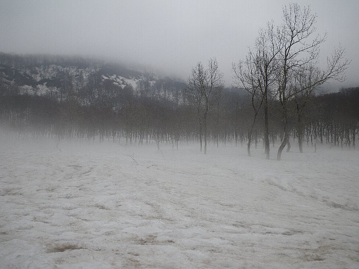 f0118332_2217426.jpg