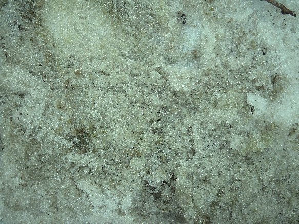 f0118332_22183356.jpg