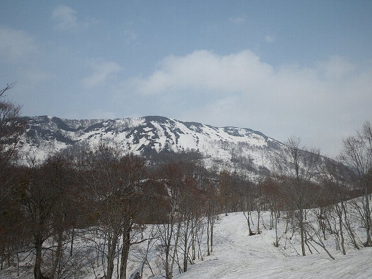 f0118332_2231220.jpg