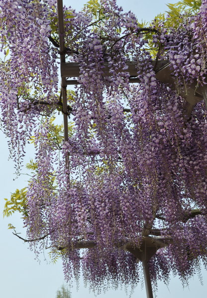 c0133533_23152510.jpg