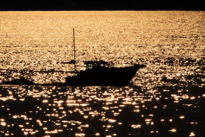 c0169436_8395048.jpg
