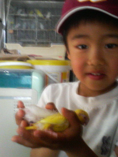 b0070838_1614472.jpg