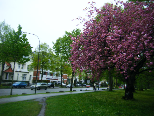 f0210340_4133359.jpg