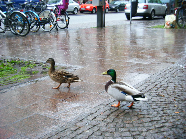 f0210340_4201687.jpg