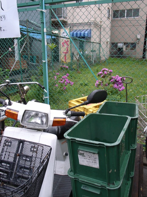 a0087341_16571448.jpg