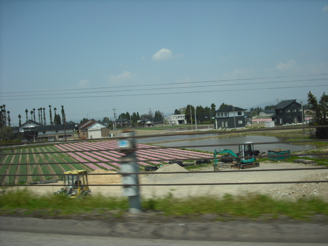 c0194042_22541682.jpg