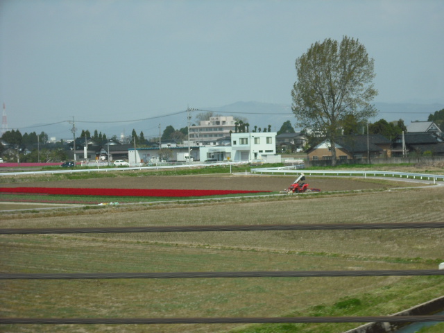 c0194042_22542710.jpg