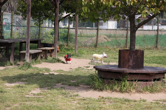 e0169243_22301411.jpg