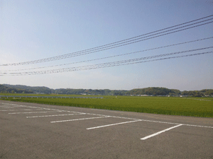 f0229250_181311.gif