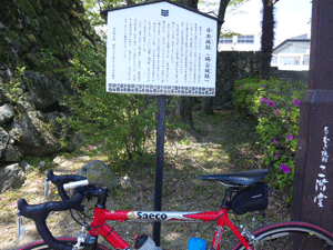 f0229250_18442822.gif