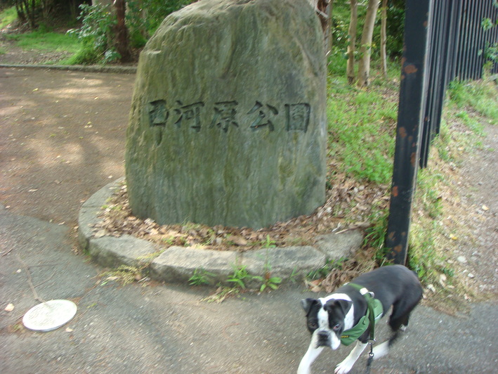 b0183452_18354570.jpg