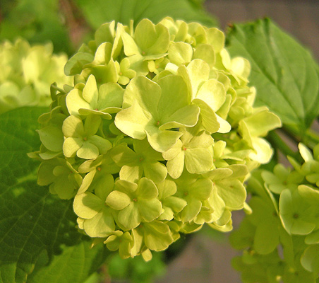 a0001354_21112467.jpg