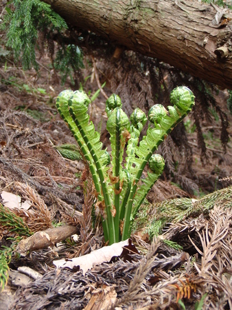 b0177355_0144923.jpg