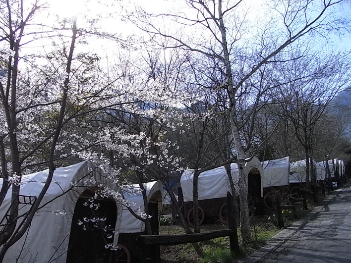 c0113755_0554100.jpg