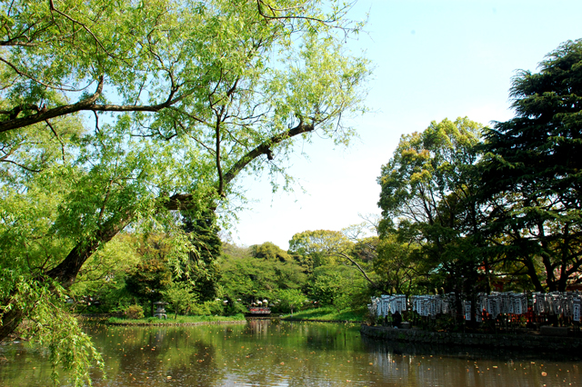 f0176458_82393.jpg