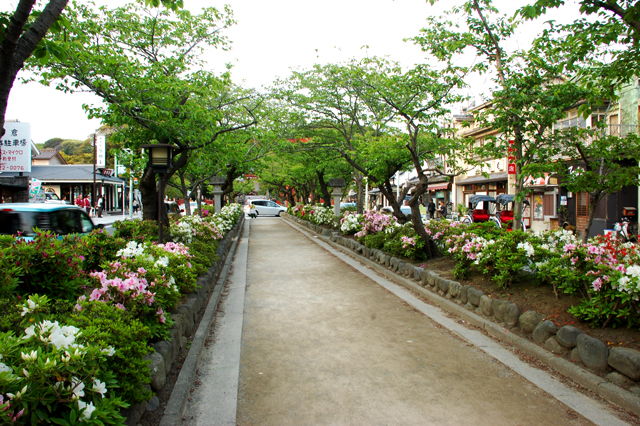 f0176458_824285.jpg