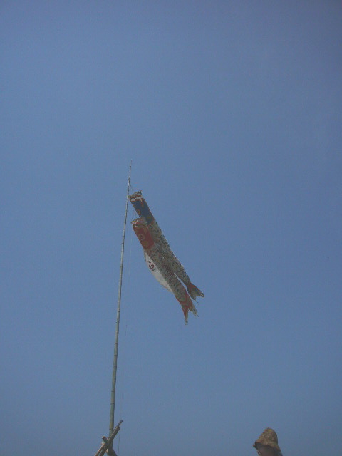 b0164959_11123780.jpg