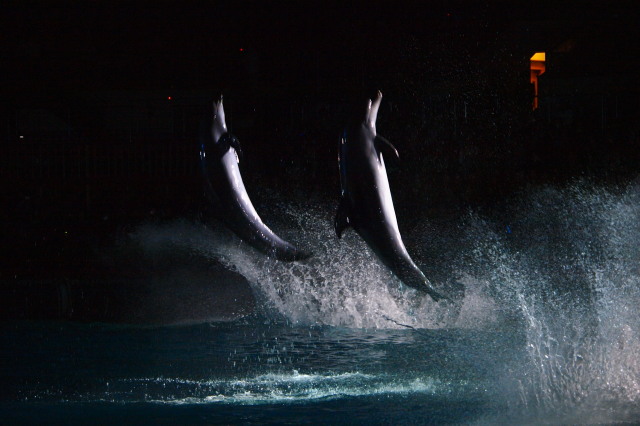 c0186760_100412.jpg