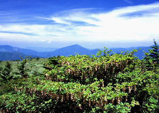 f0231460_1719285.jpg