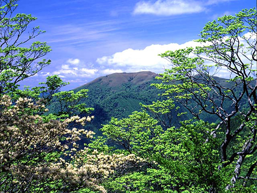 f0231460_171947.jpg