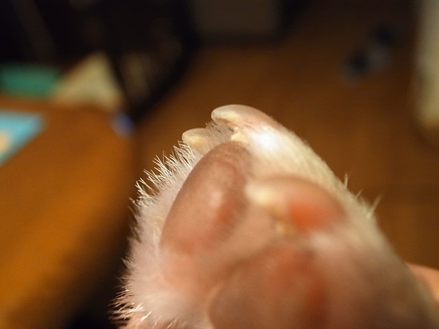 c0081363_20163913.jpg