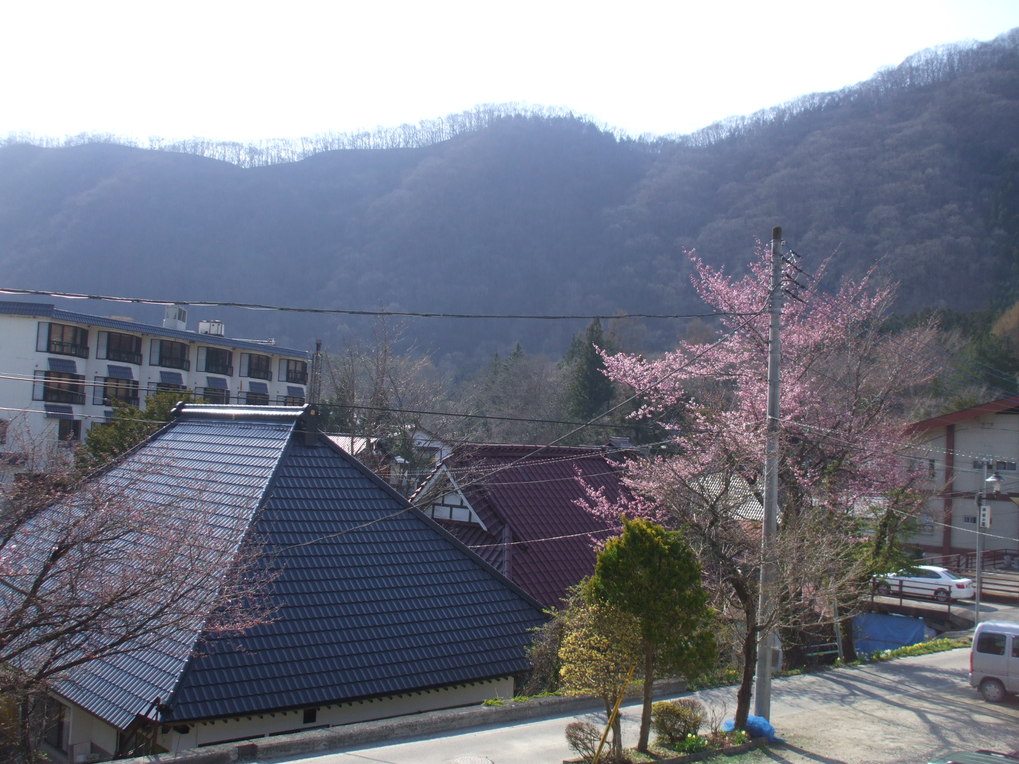 f0131165_18244093.jpg
