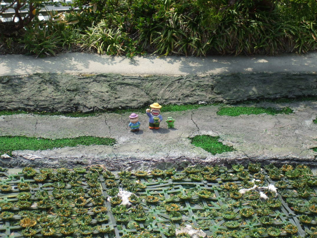 f0131165_18361490.jpg