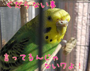 f0196665_1241680.jpg
