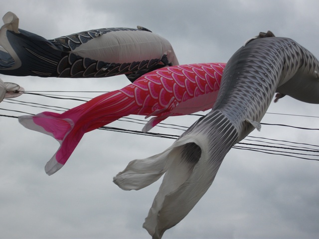 a0091666_13561925.jpg