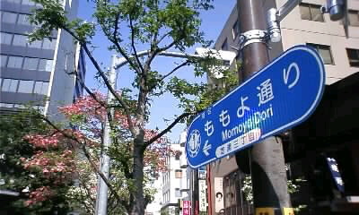 c0127366_1455726.jpg