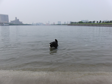 c0177668_23245351.jpg