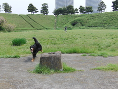 c0177668_23304936.jpg