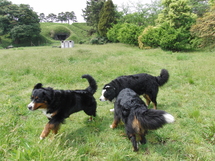c0177668_23315989.jpg