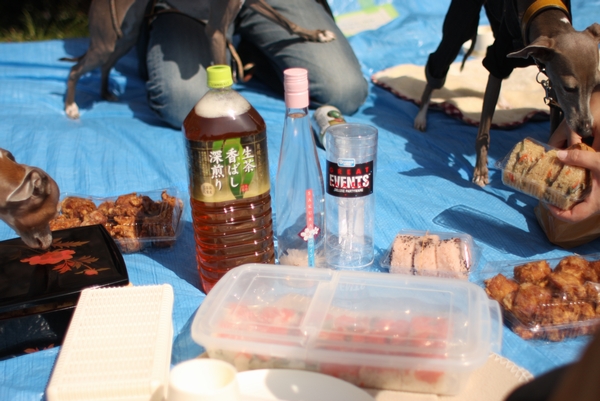 b0069169_011454.jpg