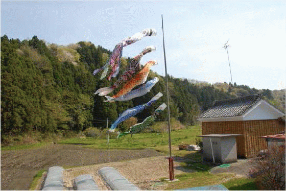 f0182571_6422751.gif